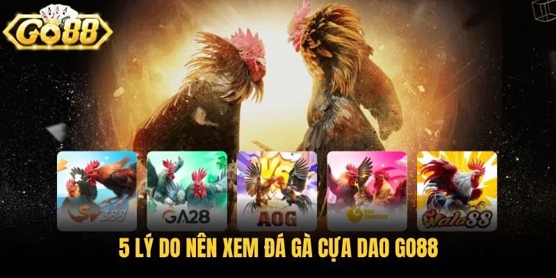 5 lý do nên xem đá gà cựa dao Go88