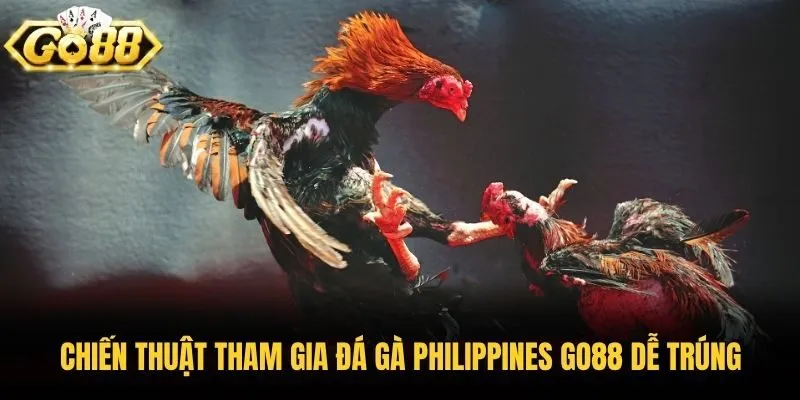 Chiến thuật tham gia đá gà Philippines Go88 dễ trúng