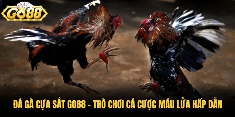 Đá Gà Cựa Sắt Go88 - Trò Chơi Cá Cược Máu Lửa Hấp Dẫn