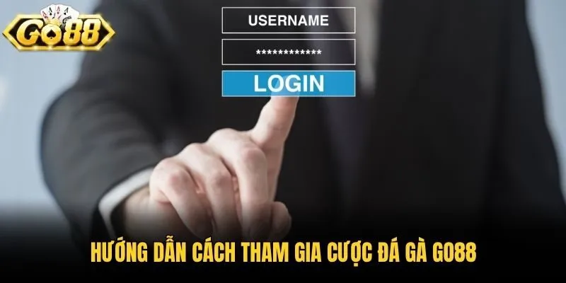 Hướng dẫn cách tham gia cược đá gà Go88