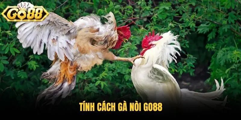 Tính cách gà nòi Go88